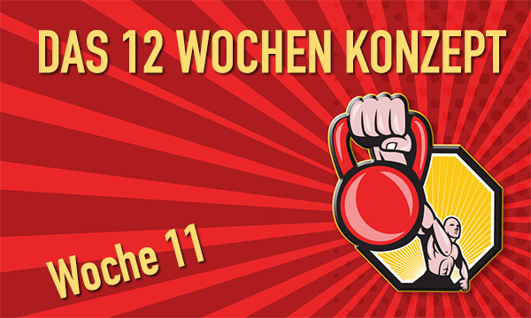 11-wochen-konzept