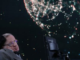 Stephen Hawking Theorien