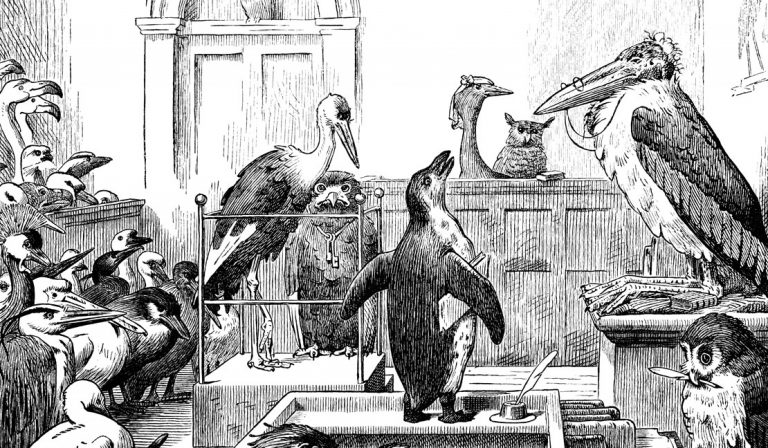 Die skurrilsten Gesetze