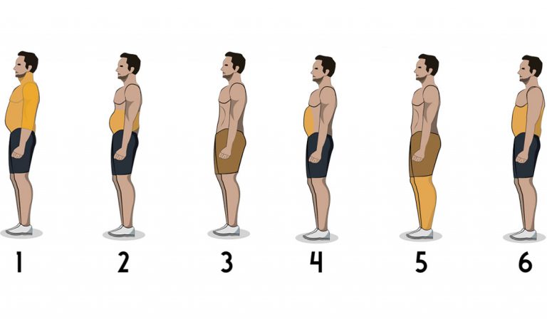 Körperfett Lebensgewohnheiten