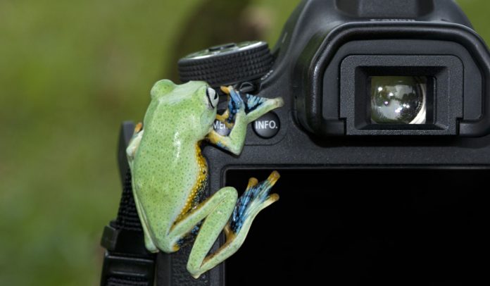 Der AJOURE´ Men Fotoguide 2017: So machst du geilere Fotos