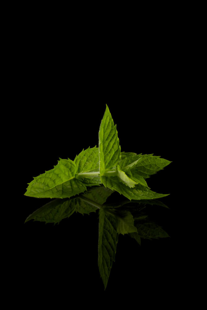 natürliche Appetitzügler