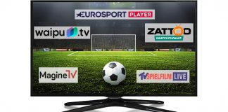 Online TV – Die 5 besten Anbieter für die WM im Test