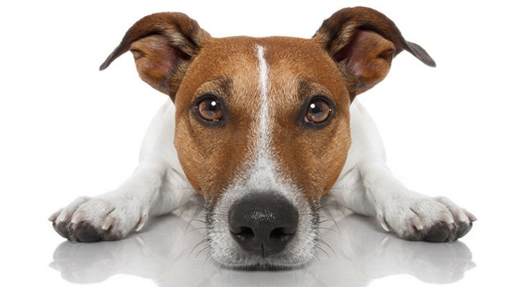 Ist Langeweile gesund?