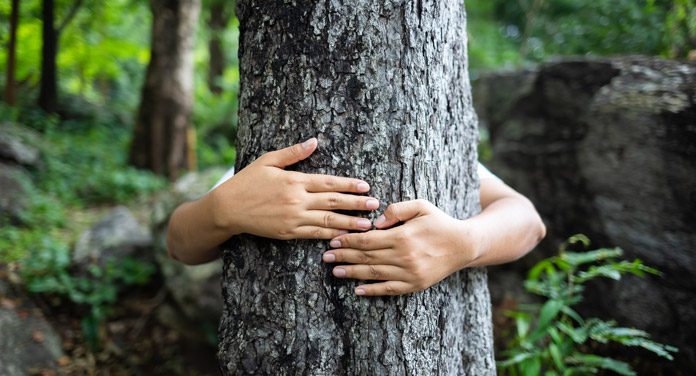 7 einfache Tipps, wie du besser zur Umwelt sein kannst