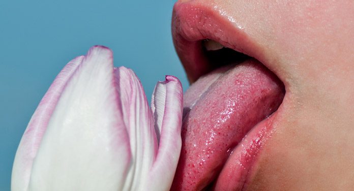 lecktuch Was ist eigentlich ein Lecktuch?