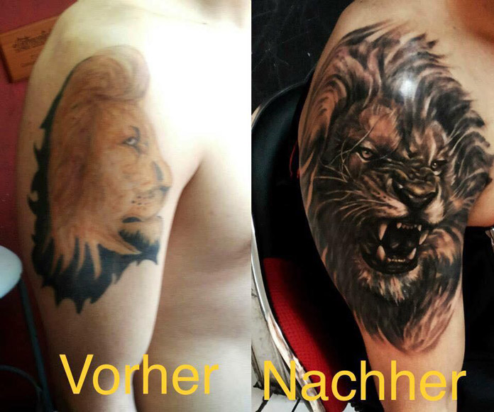 Cover-up Lion