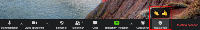 Zoom App Emoji Reaktionen
