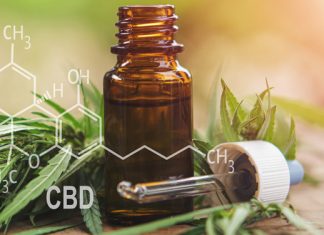 Alles was du über CBD und Hautpflege wissen musst