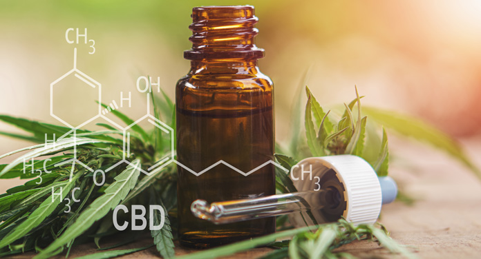 cbd-oel-hautpflege Alles was du über CBD und Hautpflege wissen musst