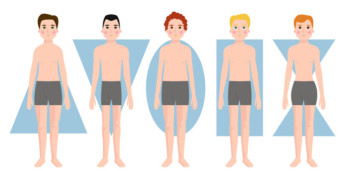 Körperform Typen