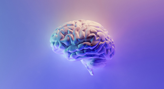 Gehirn trainieren gegen Demenz