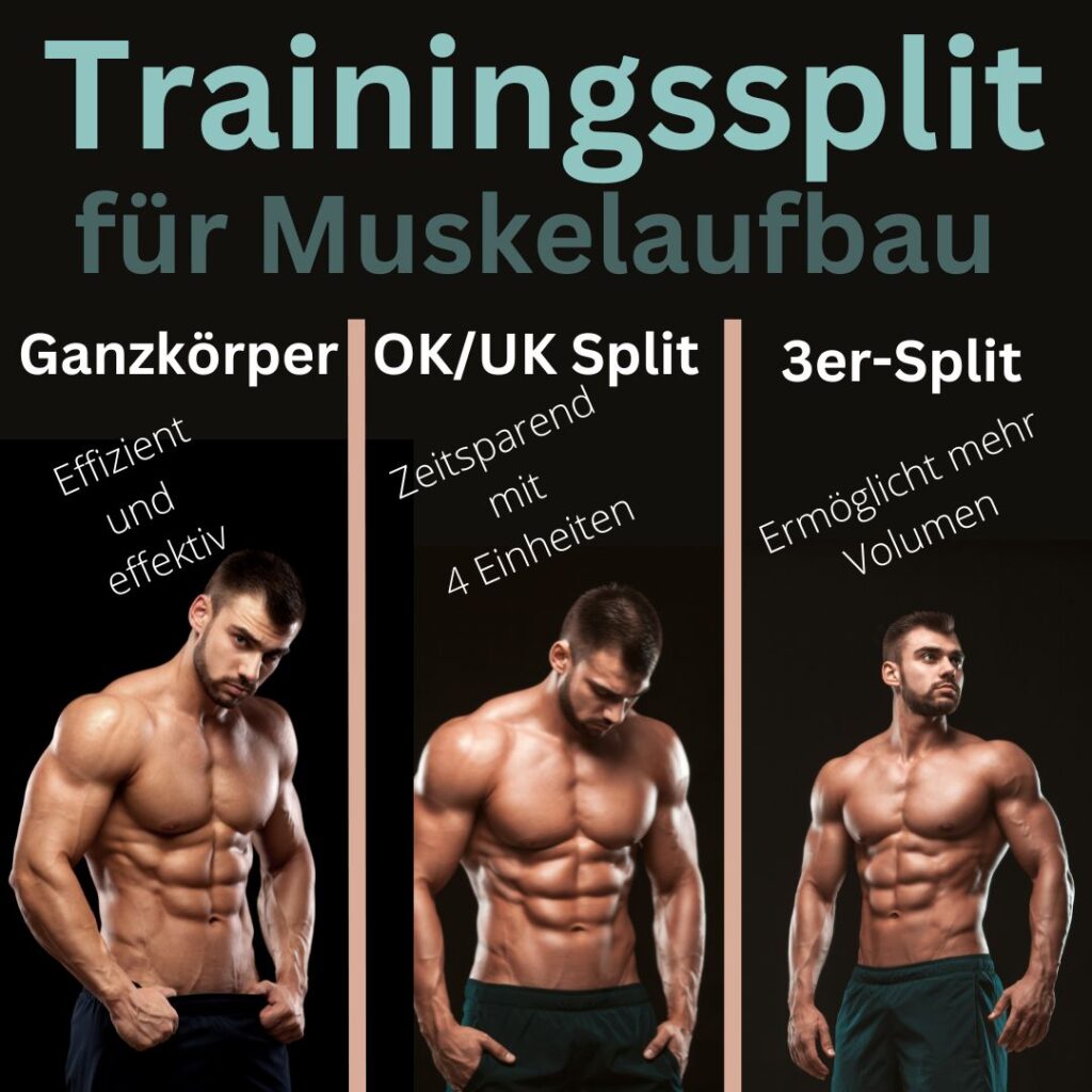 Trainingssplit