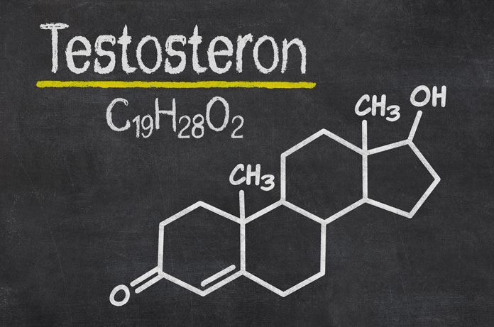 Testosteron erhöhen