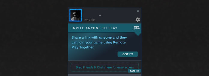 Steam Remote Play Together
