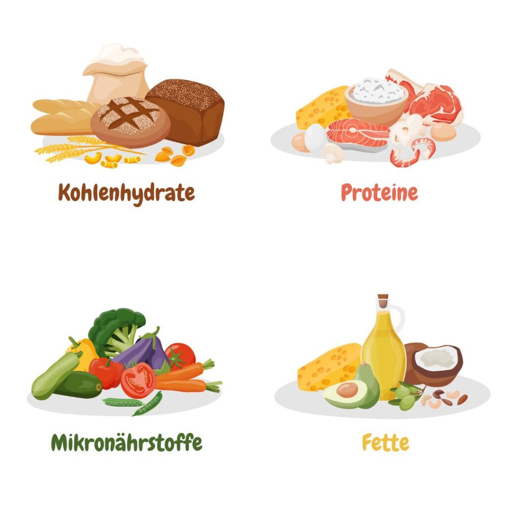 Mittagessen für Sportler – So solltest du dich mittags fürs Training ernähren