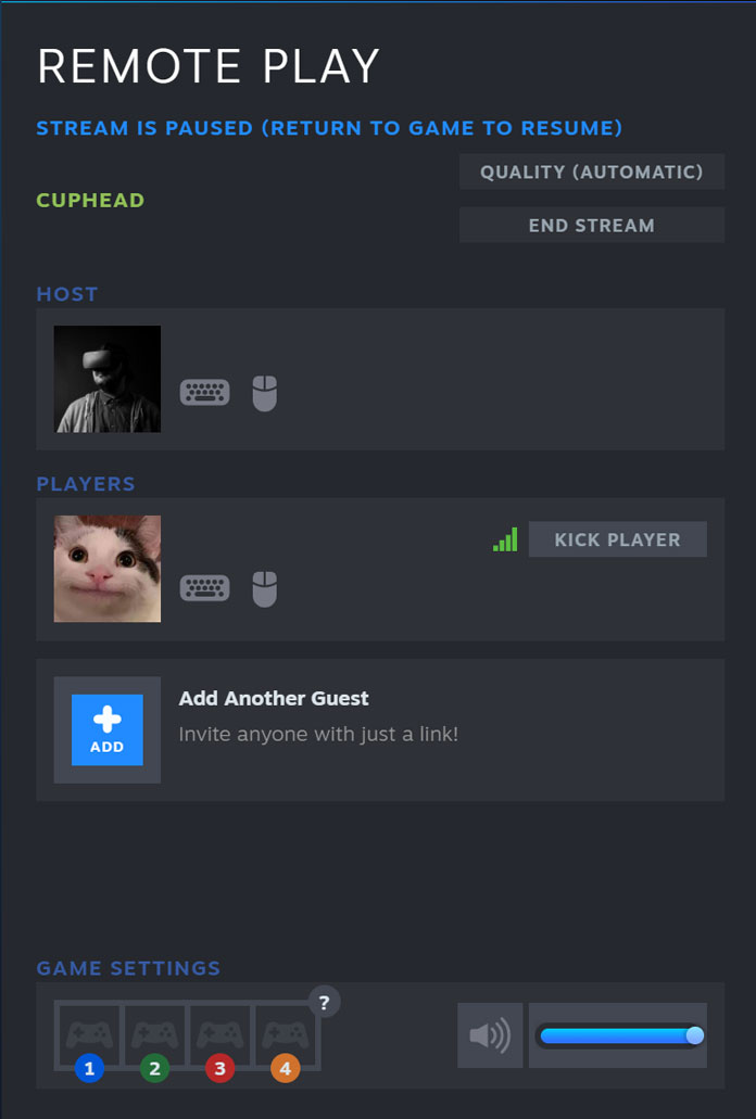 Steam Remote Play Together