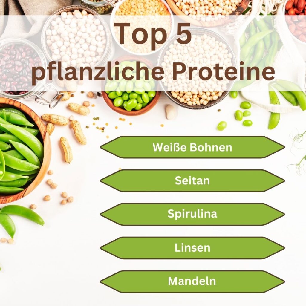 Pflanzliche Proteine 