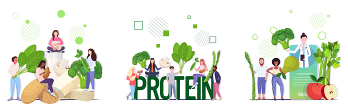 Pflanzliche Proteine