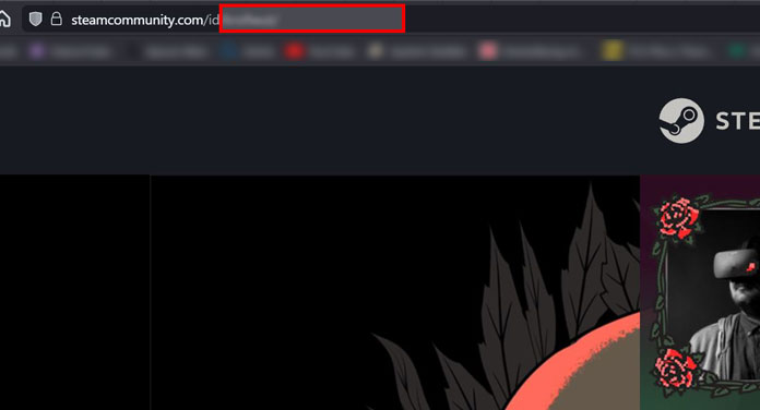 Steam-ID finden über URL in Browser anzeigen lassen