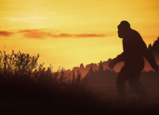 Bigfoot