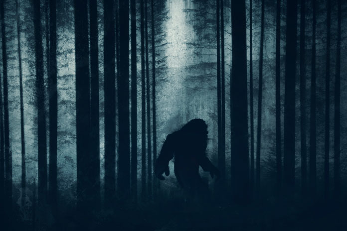 Bigfoot Silhouette im Wald
