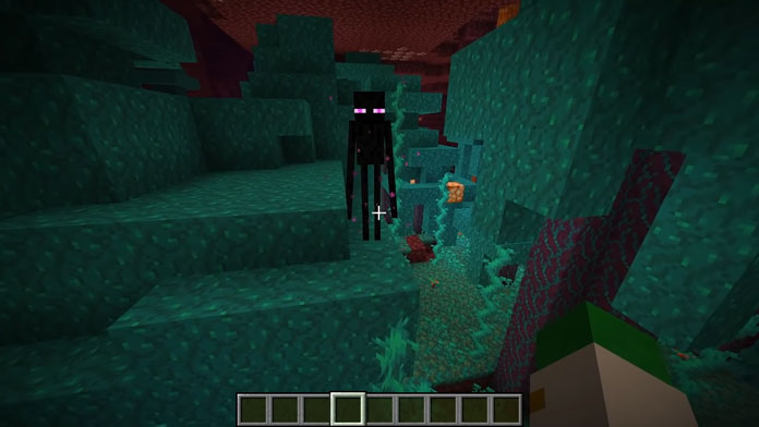 Minecraft Nether