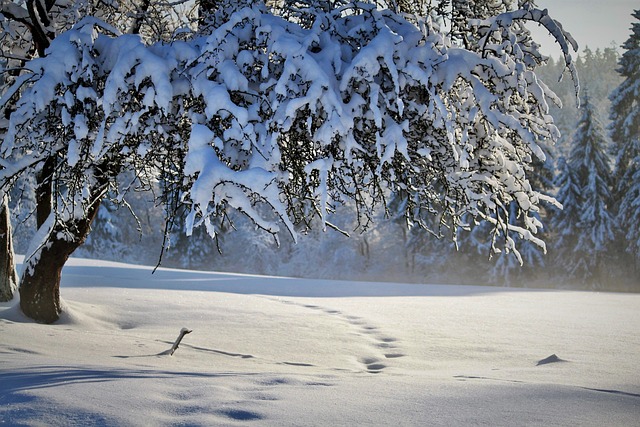 Dolomiten im Winter