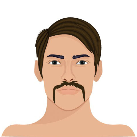 Barttrend Fu Manchu