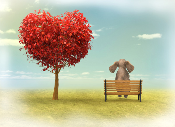 single-sein single-sein