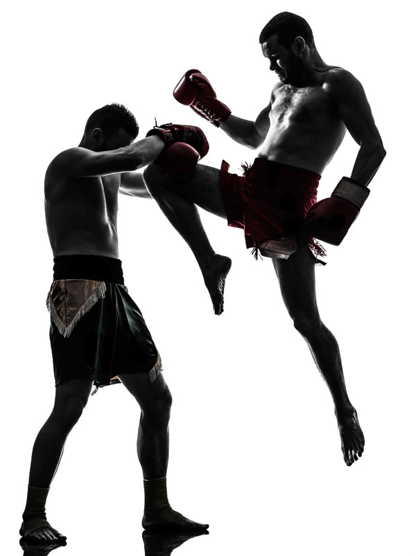 MMA Kampfsport